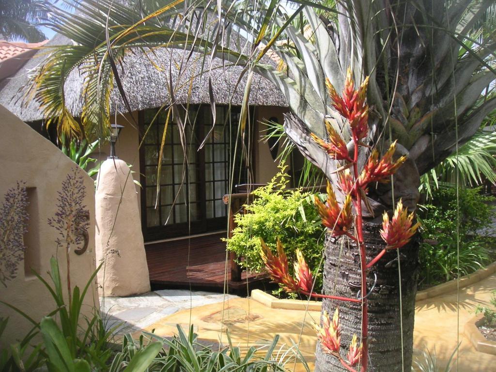 Afrikhaya Guest House Saint Lucia Estuary Exteriör bild